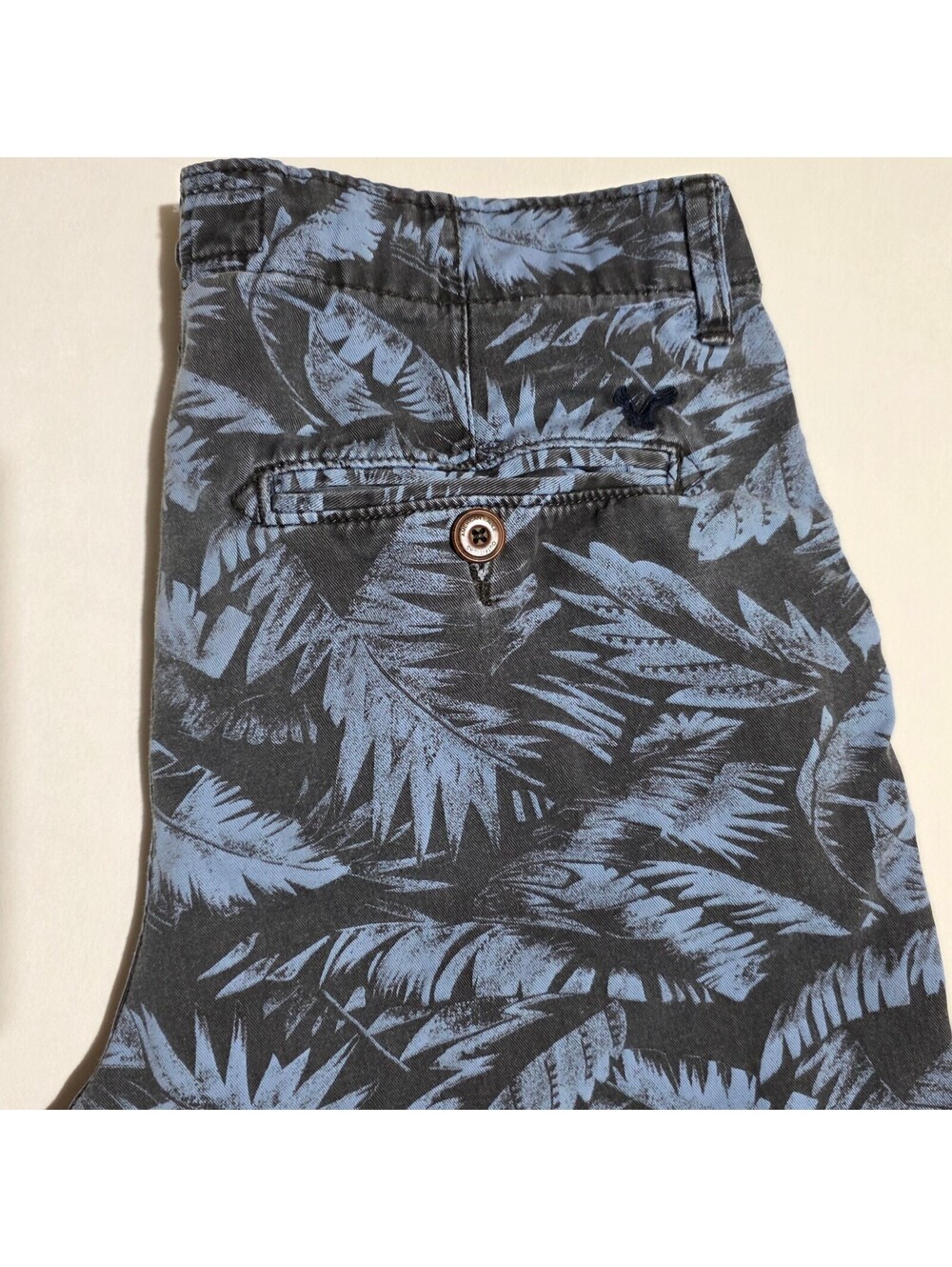 American Eagle Longboard Blue Palm Leaf Print Longboard Shorts Men's Size 30